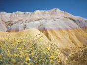 Badlands National Park