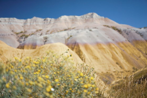 Badlands National Park