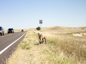 Badlands National Park