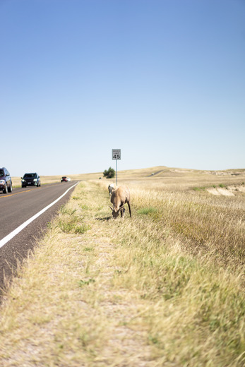 Badlands National Park