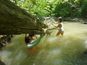Uwharrie National forest