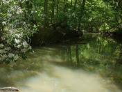 Uwharrie National Forest