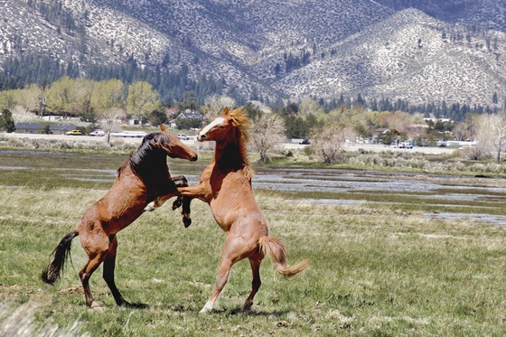 Bureau Of Land Management