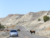 Theodore Roosevelt National Park