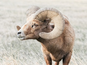 Badlands National Park