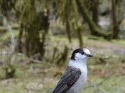 Olympic National Park