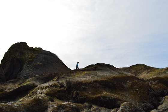 Olympic National Park