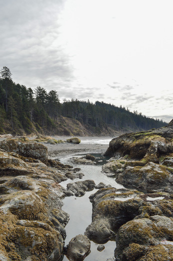 Olympic National Park