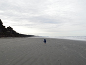 Olympic National Park