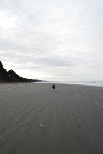 Olympic National Park