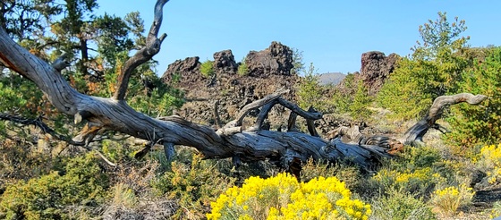Craters of the Moon National Monument and Preserve
