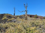 Craters of the Moon Nnational Monument and Preserve