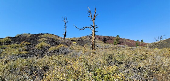 Craters of the Moon Nnational Monument and Preserve