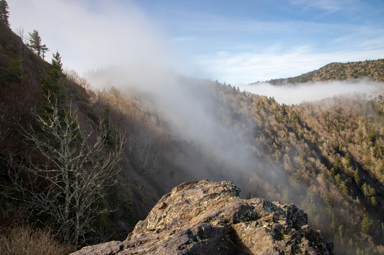 Great Smoky Mountains National Park