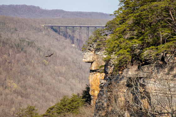 New River Gorge National Park
