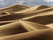 Great Sand Dunes National Park 