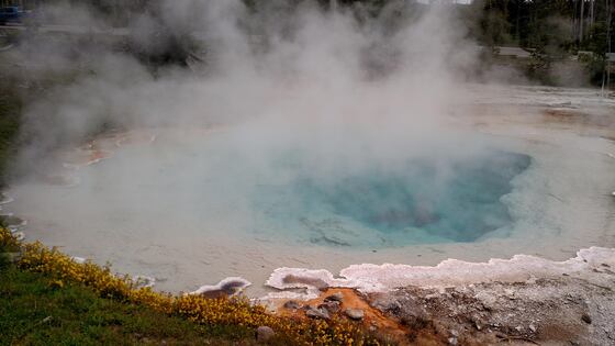 Yellowstone National Park