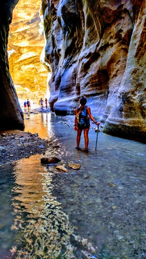 Zion National Park 