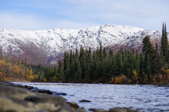 Denali National Park and Preserve