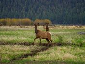 Rocky Mountain National Park