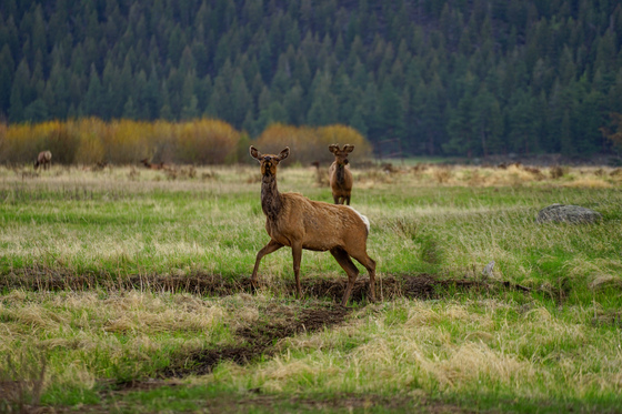 Rocky Mountain National Park