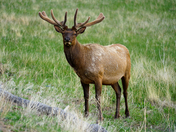 Rocky Mountain National Park