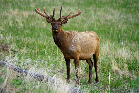 Rocky Mountain National Park
