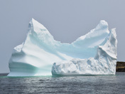 Nature's Sculpture