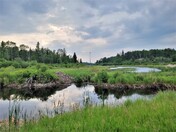 Nature Therapy in Whiteshell Provincial Park.