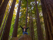 Redwood National Park