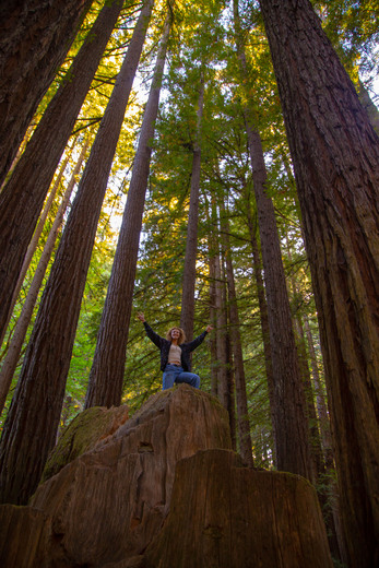 Redwood National Park