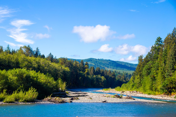 Olympic National Park 