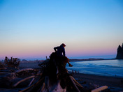 Olympic National Park/Rialto Beach