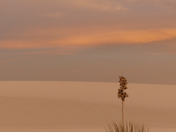 White Sands National Park