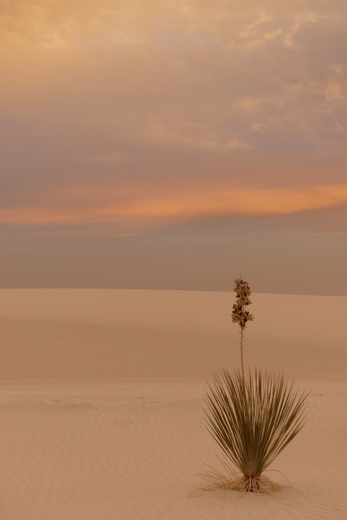 White Sands National Park