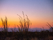 Big Bend National Park 
