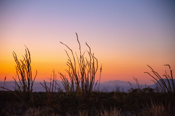 Big Bend National Park 
