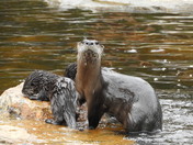 Rocky Mountain National Park