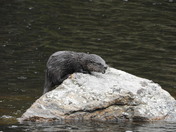Rocky Mountain National Park