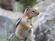 Badlands National Park