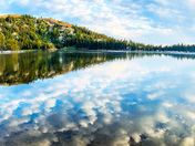 Tahoe National Forest
