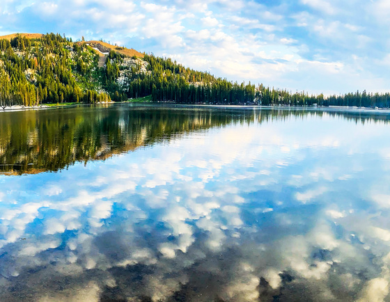 Tahoe National Forest
