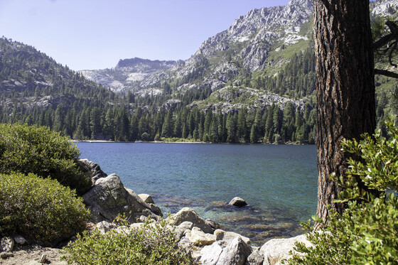 Tahoe National Forest