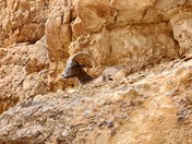 Grand Canyon National Park