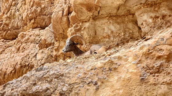 Grand Canyon National Park