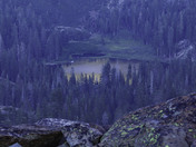 Plumas National Forest