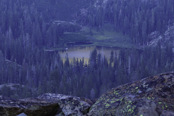 Plumas National Forest