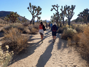 Joshua Tree National Park