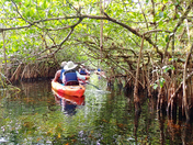 Everglades National Park