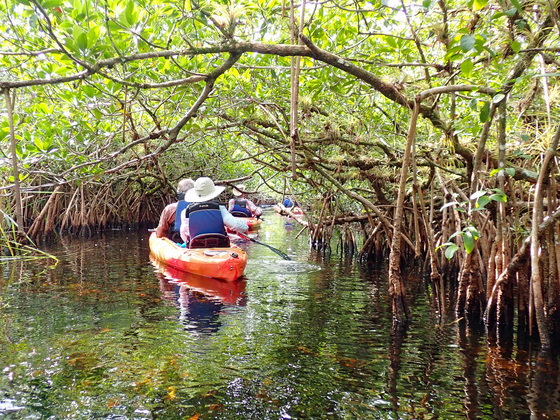 Everglades National Park